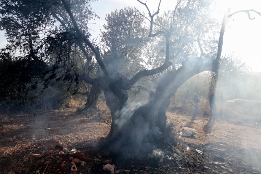Δυτική Όχθη: Ισραηλινοί έποικοι χτύπησαν επί 10 λεπτά φωτογράφο της Washington Post και έκαψαν παλαιστινιακές ελιές – «Με κλωτσούσαν ασταμάτητα» 7 Ισραηλινοί έποικοι ξυλοκόπησαν φωτογράφο της Washington Post και έκαψαν ελιές Παλαιστινίων